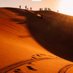 Golden Dunes & Gilded Domes: Your Curated Three-Day Journey Through Abu Dhabi’s Soul